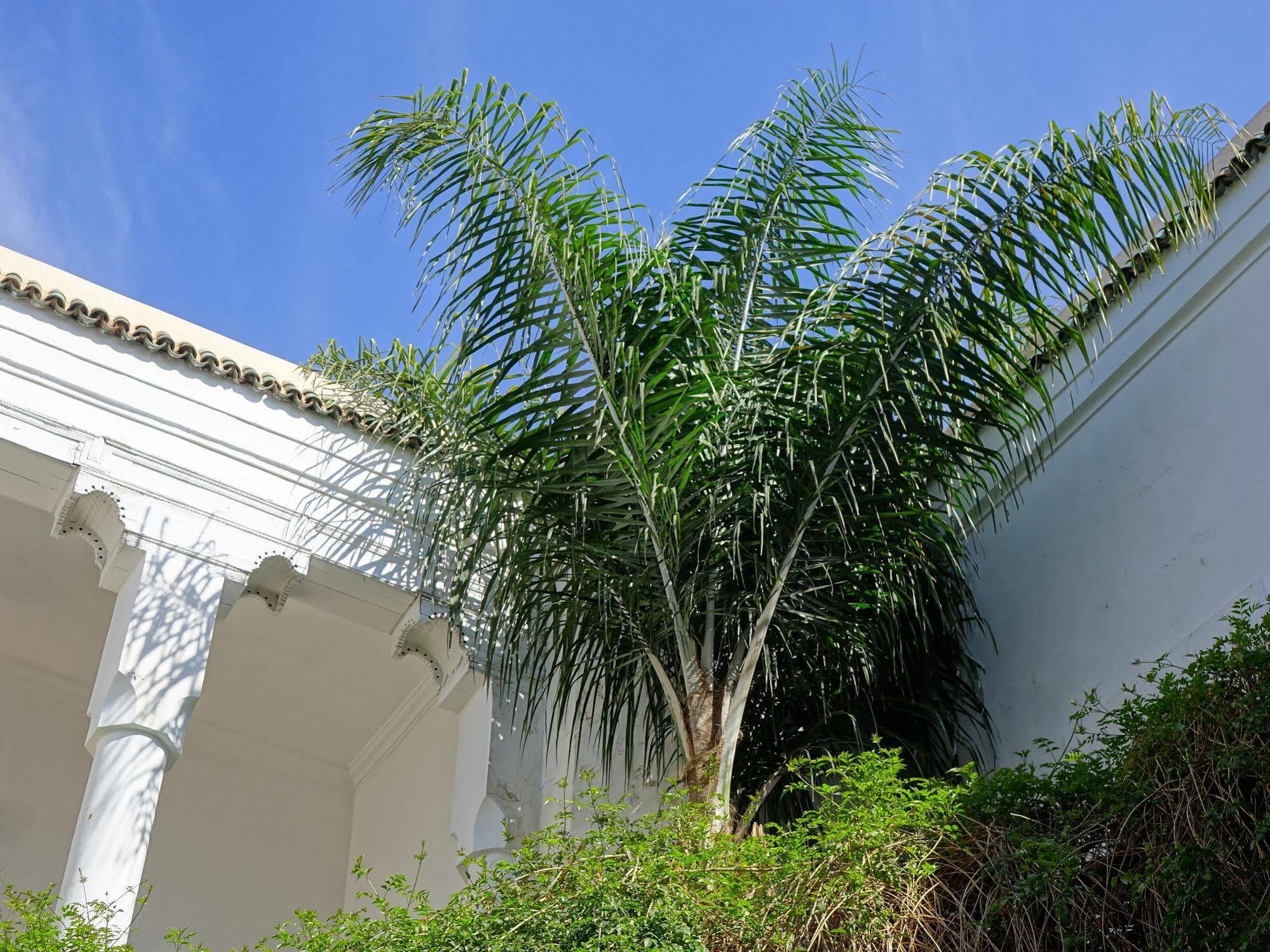 Riad Al Assala Marrakesh Exterior photo